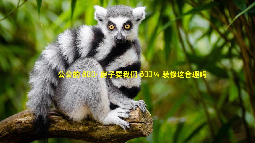 公公的 🕷 房子要我们 🐼 装修这合理吗